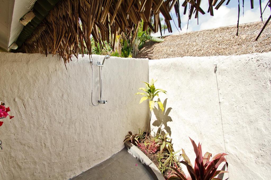 Premium Garden Suite